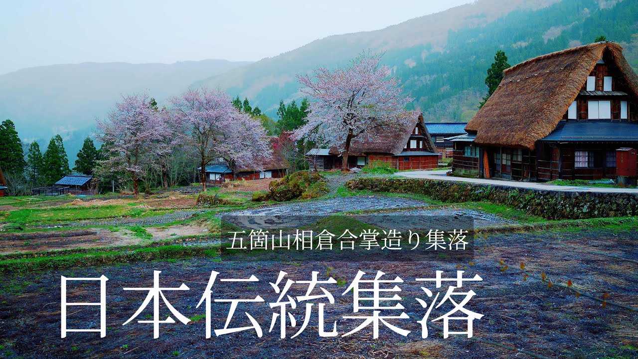【日本合掌村:富山縣相倉集落的應乎】富山縣五箇山相倉合掌村集落|富山県合掌村的櫻花季節|世界遺產相倉集落合掌村