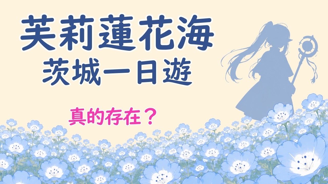 【根本芙莉蓮】茨城粉蝶花海|國營常陸海濱公園