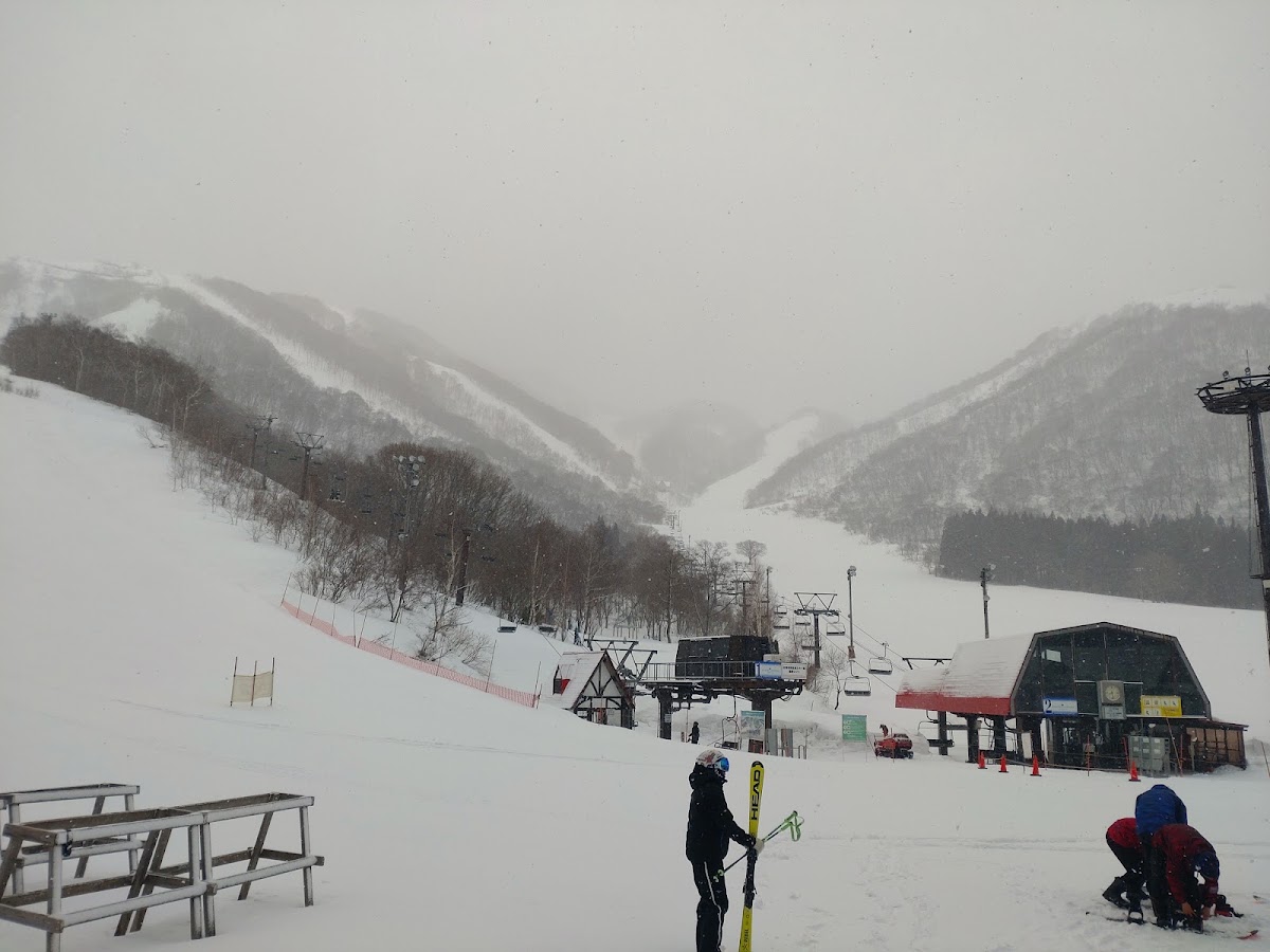 白馬科爾蒂納滑雪場(白馬コルチナスキー場) 實景照片 10