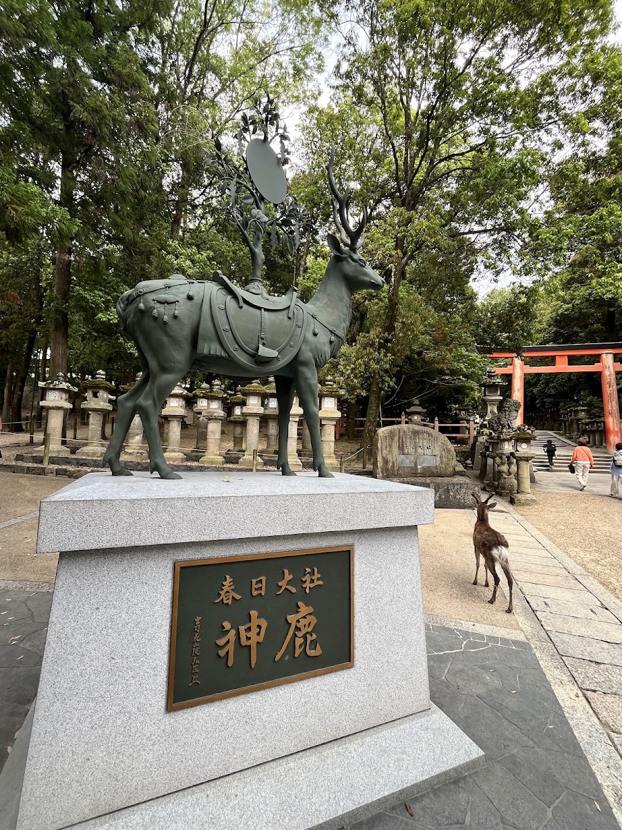 春日大社的神鹿銅像與鳥居