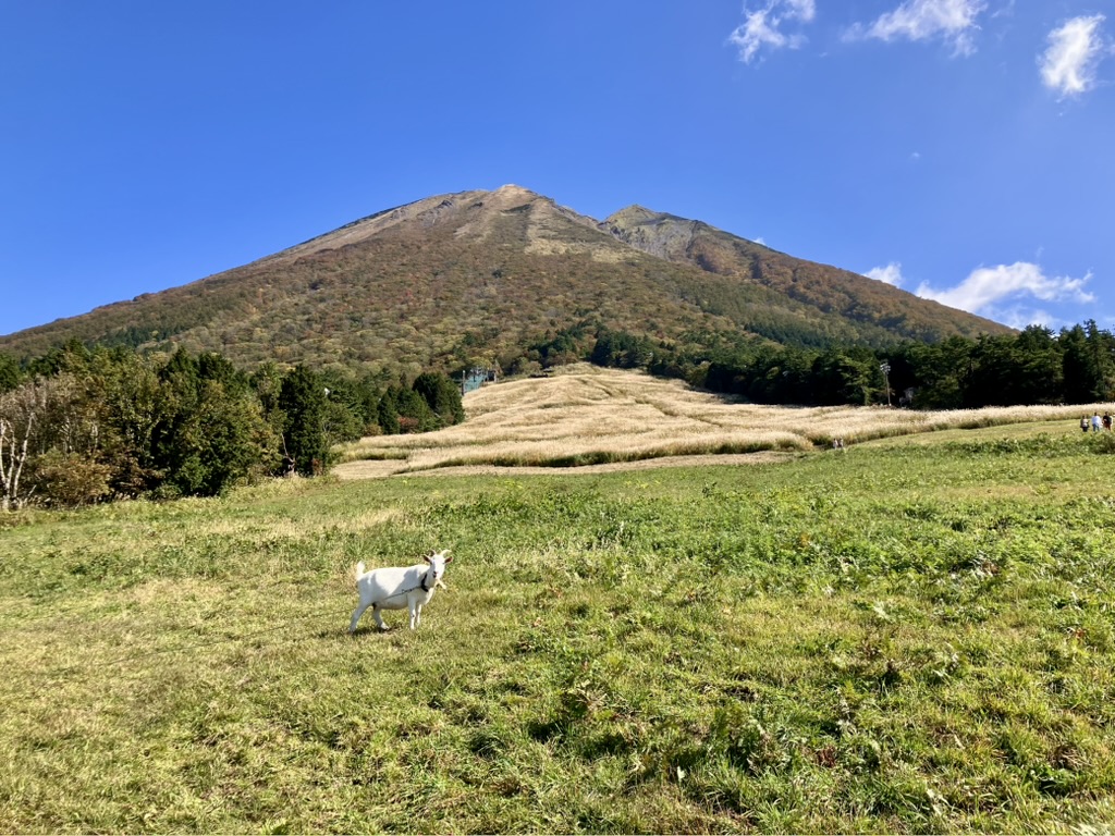 大山Masumizu高原Snow Park(大山ますみず高原スノーパーク) 實景照片 6