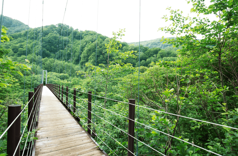 白山國家公園(白山国立公園) 實景照片 7