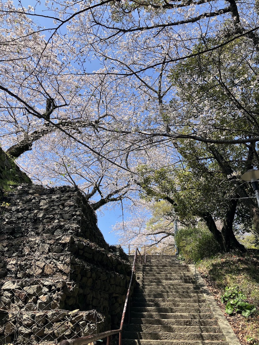 德島城（徳島城） 實景照片 10