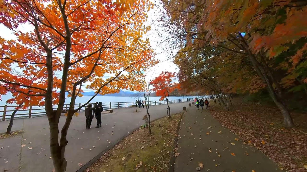 2025北海道旅遊Day 4 支芴洞爺國家公園.支芴湖