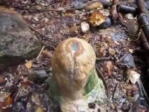 親谷の湯、手堀り(野湯2-2)