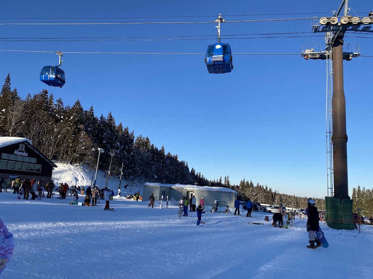 妙高杉之原滑雪場（妙高杉ノ原スキー場） 實景照片 9