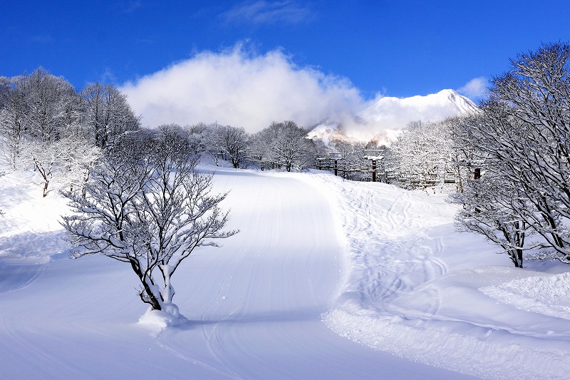 妙高赤倉溫泉滑雪場（赤倉温泉スキー場） 實景照片 6