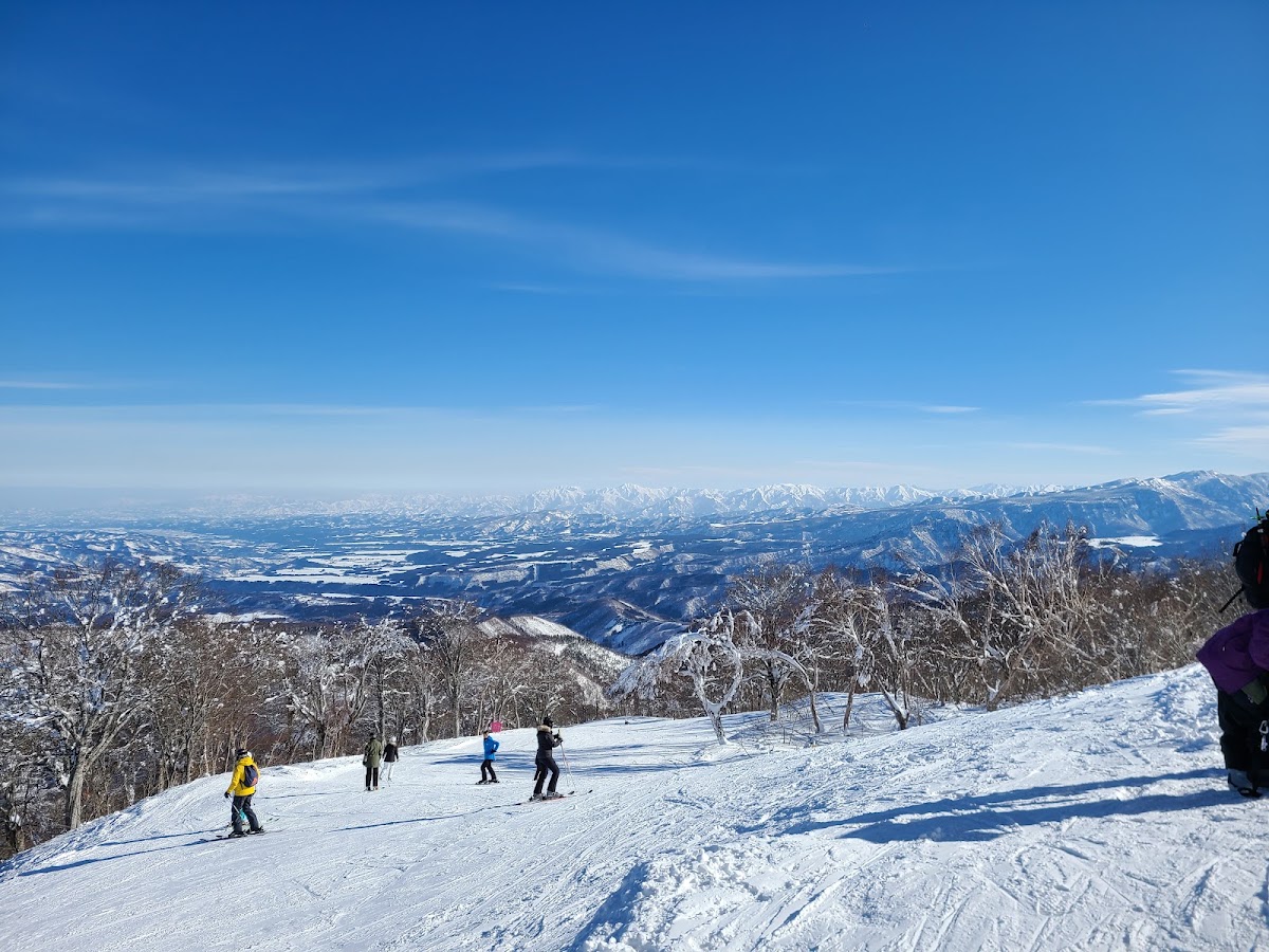 野澤溫泉滑雪場(野沢温泉スキー場)