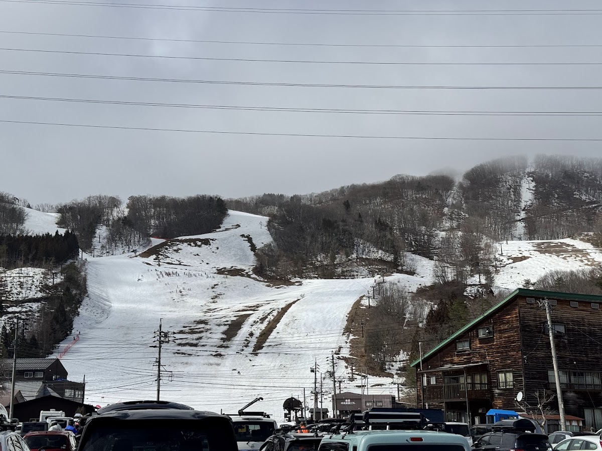 白馬岩岳雪場（白馬岩岳スノーフィールド） 實景照片 10