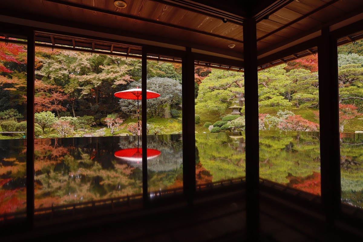 室內窗框與倒影及紅傘風景