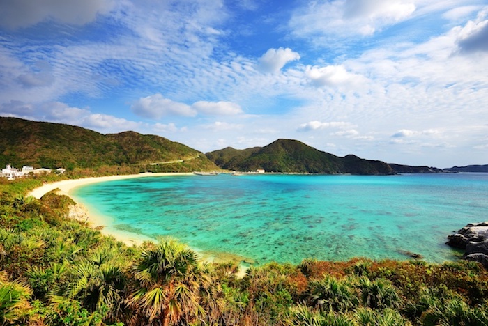 陽光下清澈翠綠的海岸與沙灘風景
