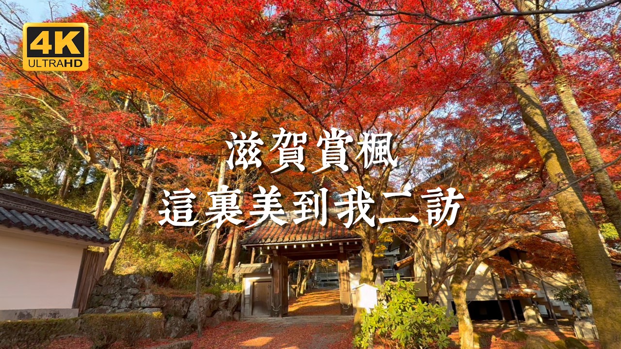 【日本一人旅 EP21】京都賞楓別只去嵐山！隔壁鄰居這條琵琶湖旁的小眾路線，美到我二訪｜舊竹林院、日吉大社、滋賀院門跡、律院、西教寺