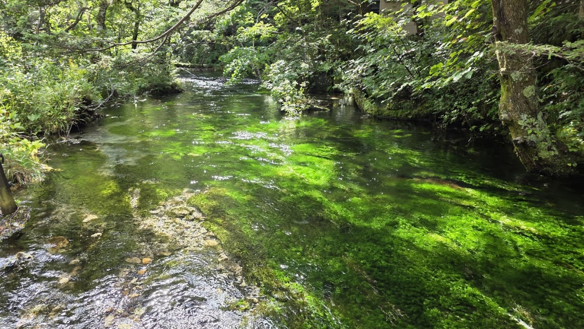 上高地遊客中心(上高地ビジターセンター) 實景照片 8