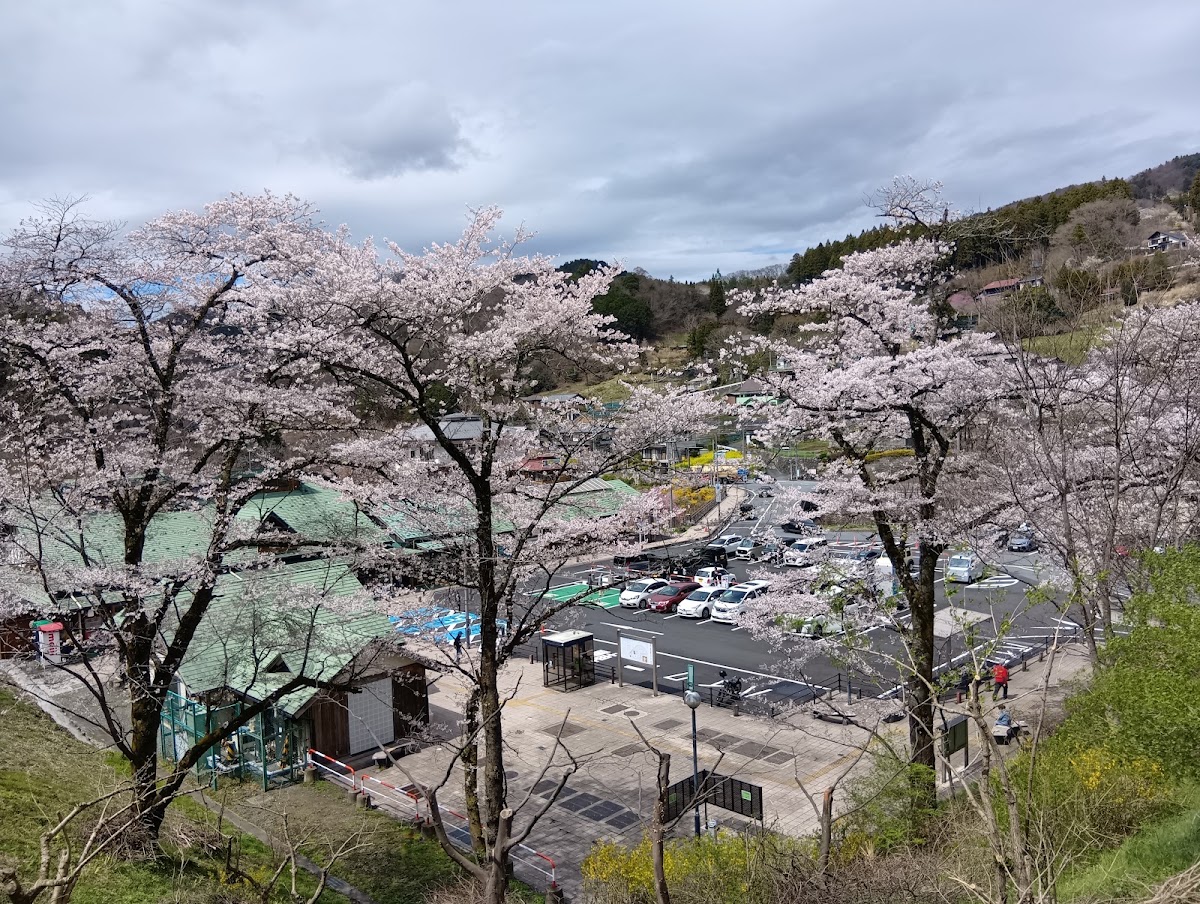 道之驛 果樹公園蘆之久保(道の駅 果樹公園あしがくぼ) 實景照片 10