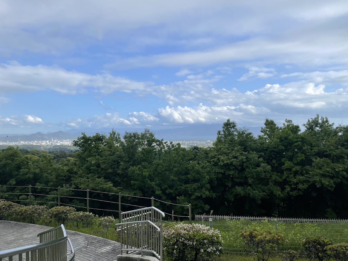 駿河灣沼津服務區 下行（駿河湾沼津SA 下り） 實景照片 3