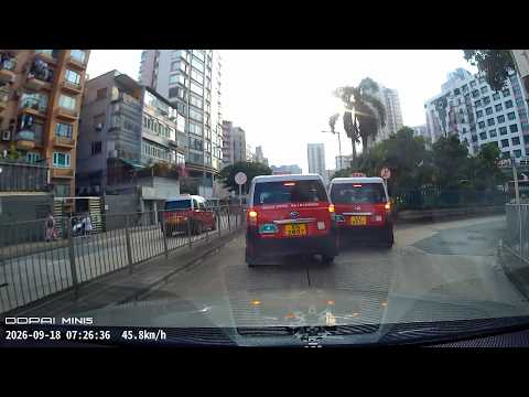 車CAM直擊 - 狗咬狗骨🫢 界限界的士收掣不及撞的士