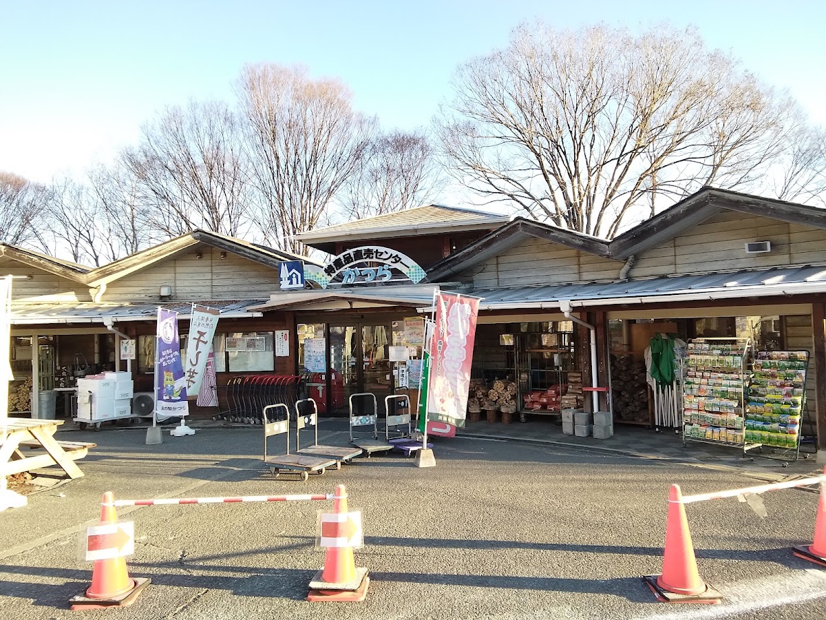 道之驛 桂(道の駅 かつら)