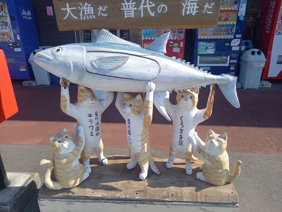 道之驛 青之國普代(道の駅 青の国ふだい) 實景照片 2
