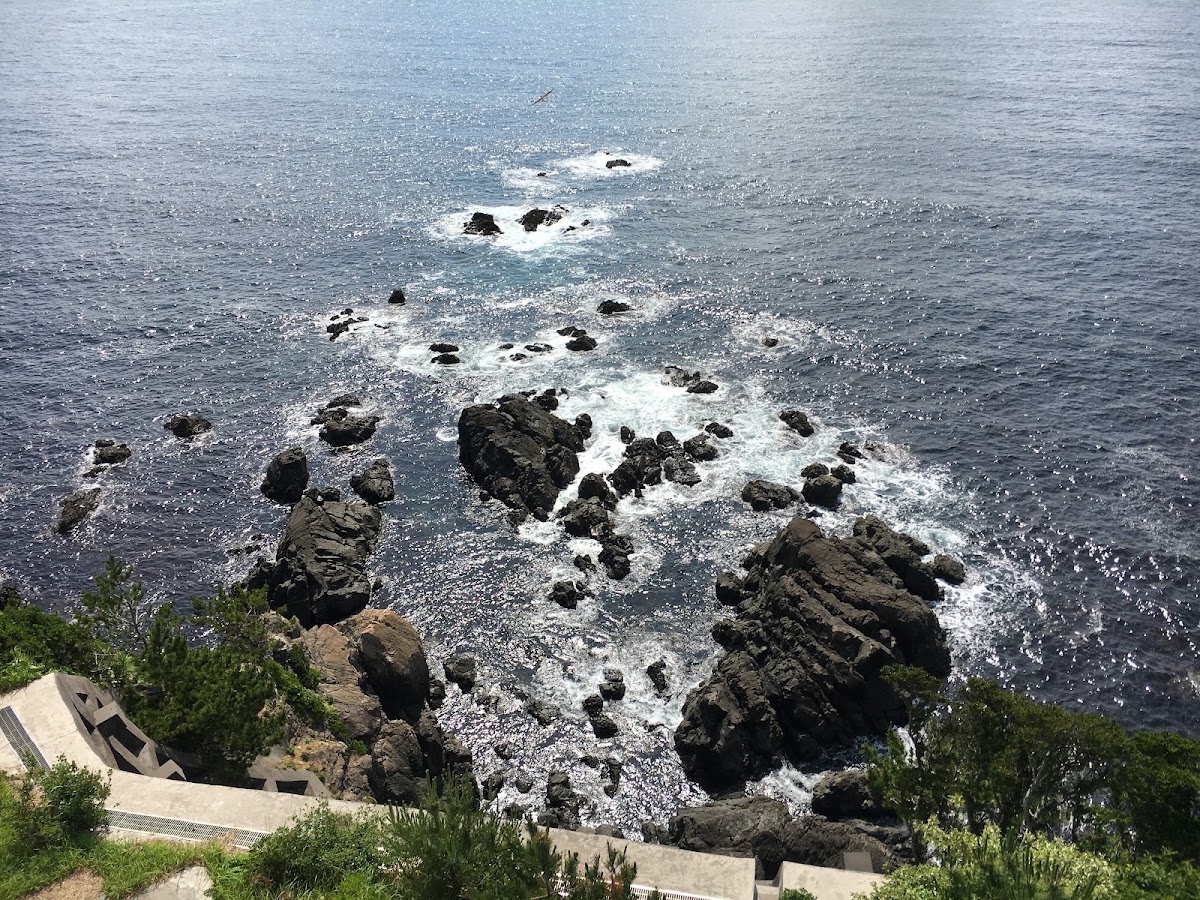 安乘崎燈塔(安乗埼灯台) 實景照片 4