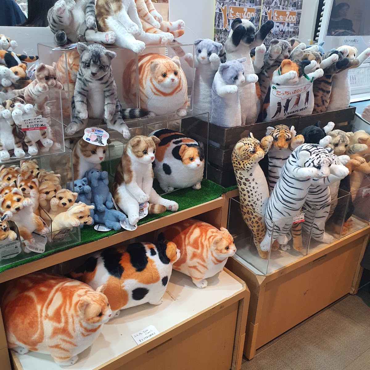 KIDDY LAND 原宿店（キデイランド 原宿店） 實景照片 4