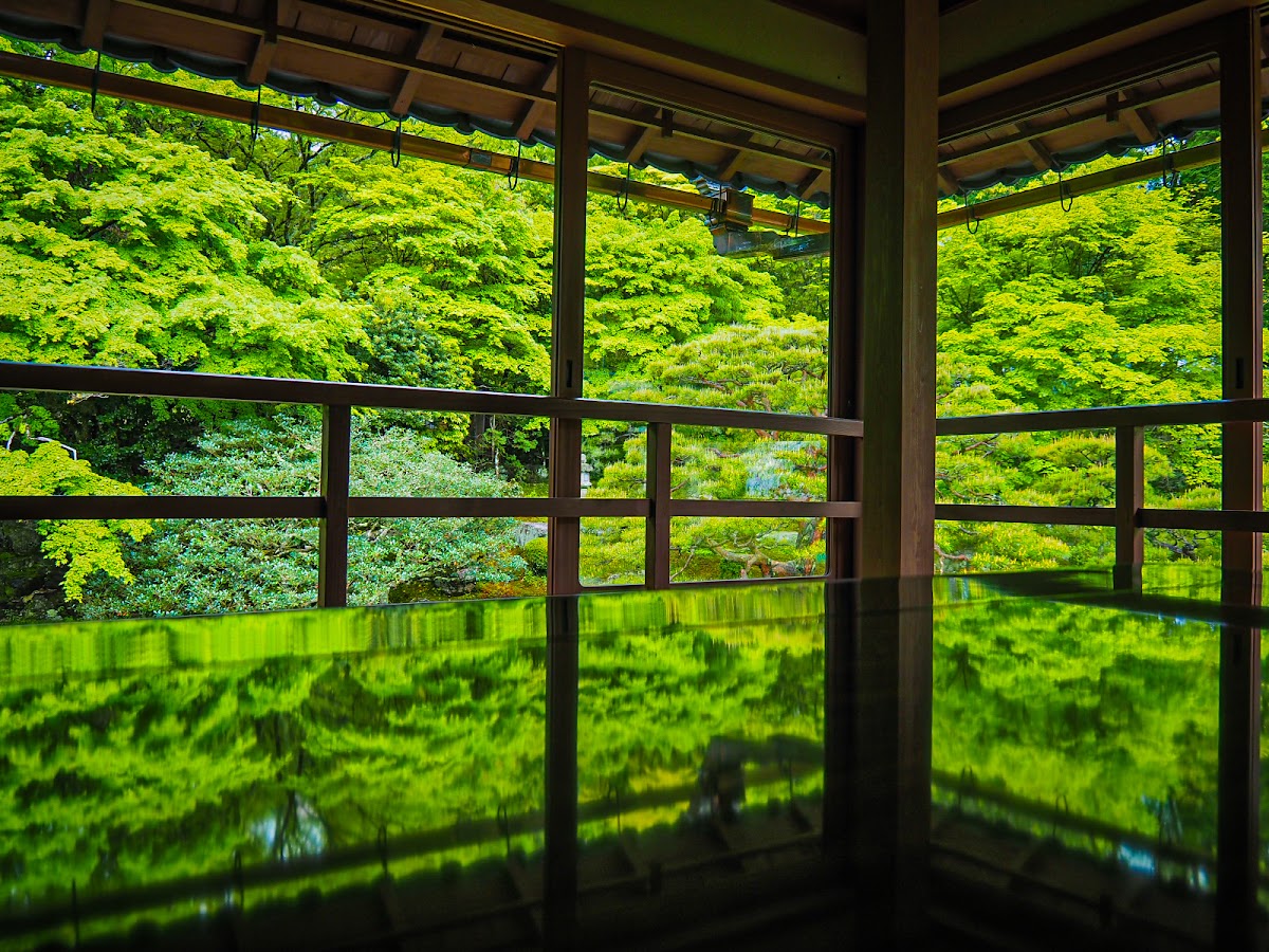 舊竹林院（旧竹林院） 實景照片 5