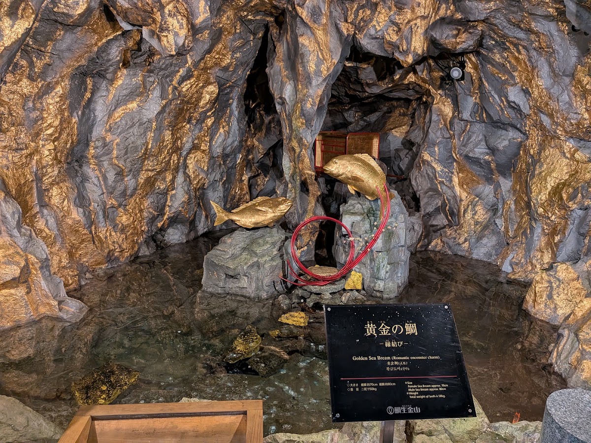 道之驛 鯛生金山(道の駅 鯛生金山) 實景照片 3