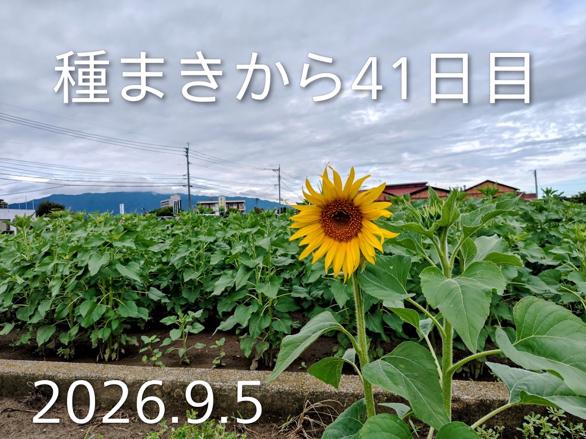 道之驛 原鶴(道の駅 原鶴) 實景照片 5