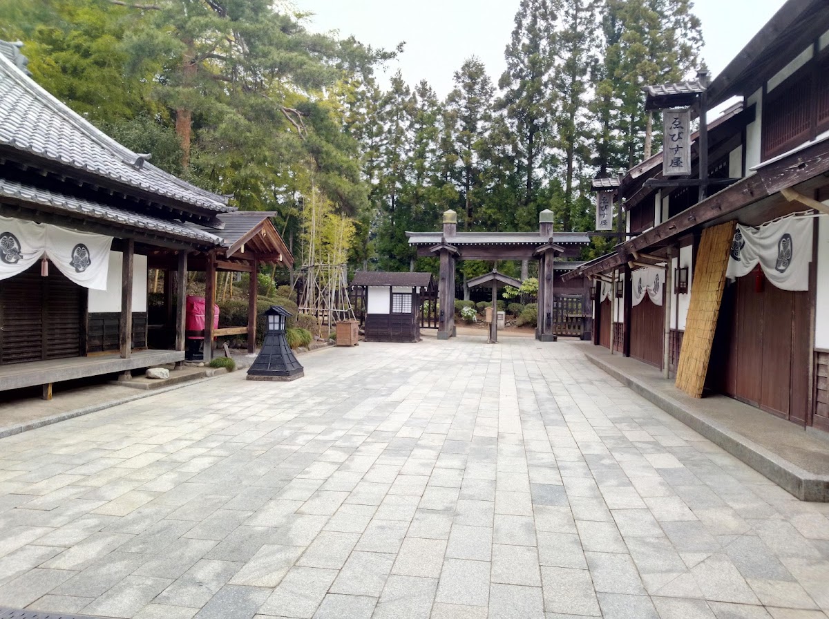 日光江戶村(江戸ワンダーランド 日光江戸村) 實景照片 3