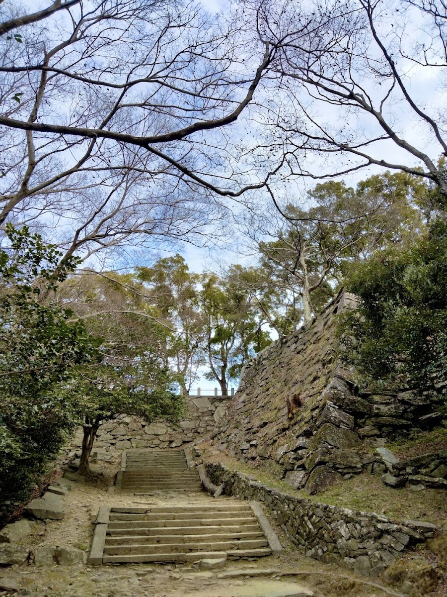城堡石牆與向上石階