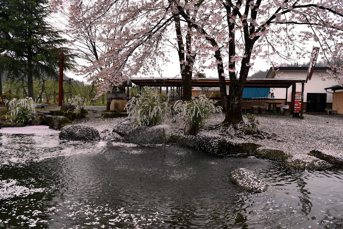 道之驛 白鷹簗公園(道の駅 白鷹ヤナ公園) 實景照片 10