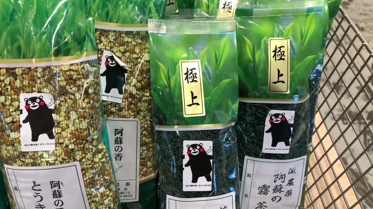 謝有榮在熊本縣阿蘇市九重國家公園拍攝。2023:4/15