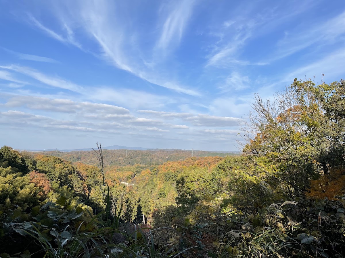 卯辰山公園 實景照片 9