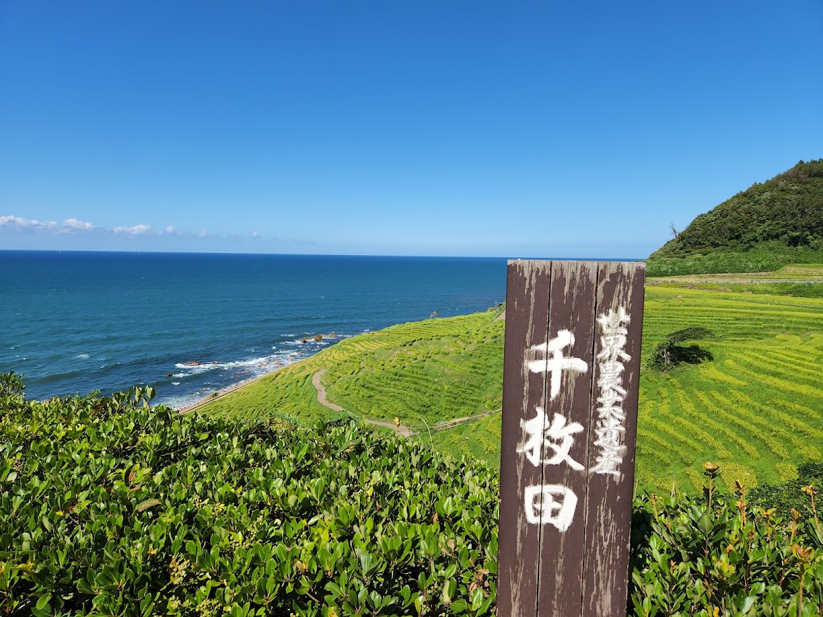 白米千枚田 實景照片 6