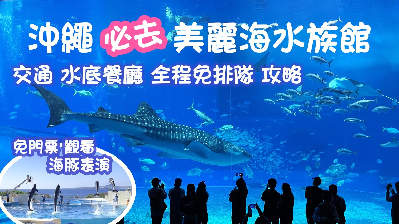2023 沖繩之旅 Ep3 | 海洋博公園 美麗海水族館|邂逅九米長鯨鯊 巨型魔鬼魚 免費海豚表演|Okinawa Churaumi Aquarium
