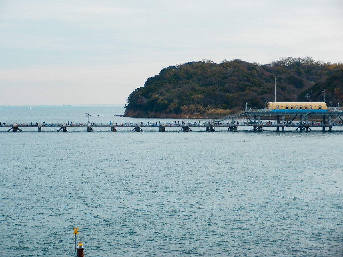 道之驛 Totto Park 小島（道の駅 とっとパーク小島） 實景照片 4