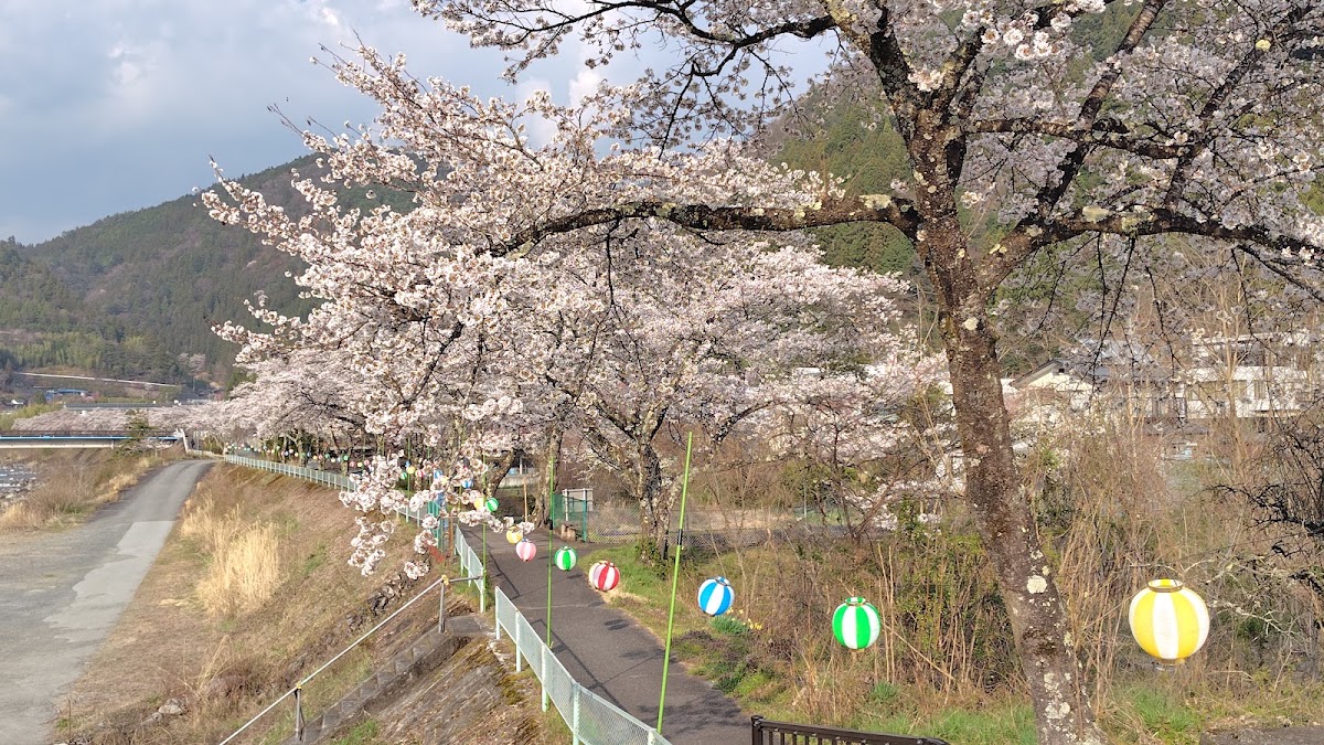 道之驛 遠山鄉(道の駅 遠山郷) 實景照片 10