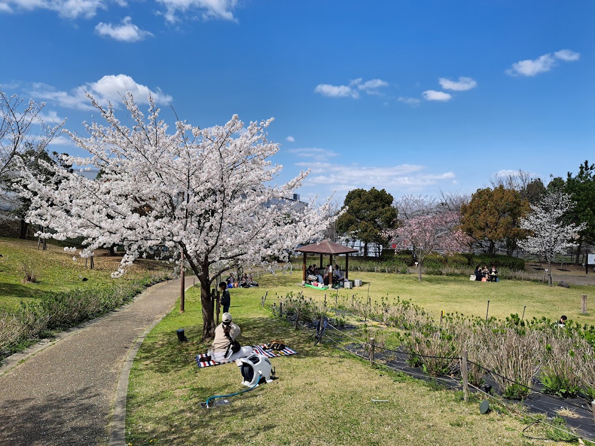 道之驛 白鳥之鄉・羽曳野(道の駅 しらとりの郷・羽曳野) 實景照片 2
