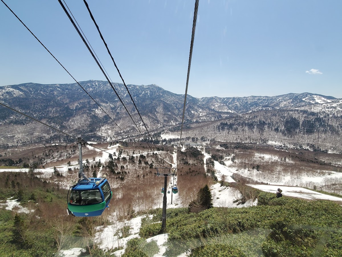 志賀高原燒額山滑雪場（志賀高原 焼額山スキー場） 實景照片 4