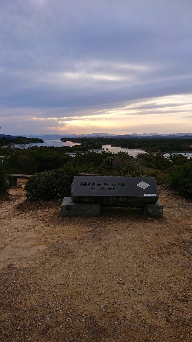 登茂山展望台 實景照片 5