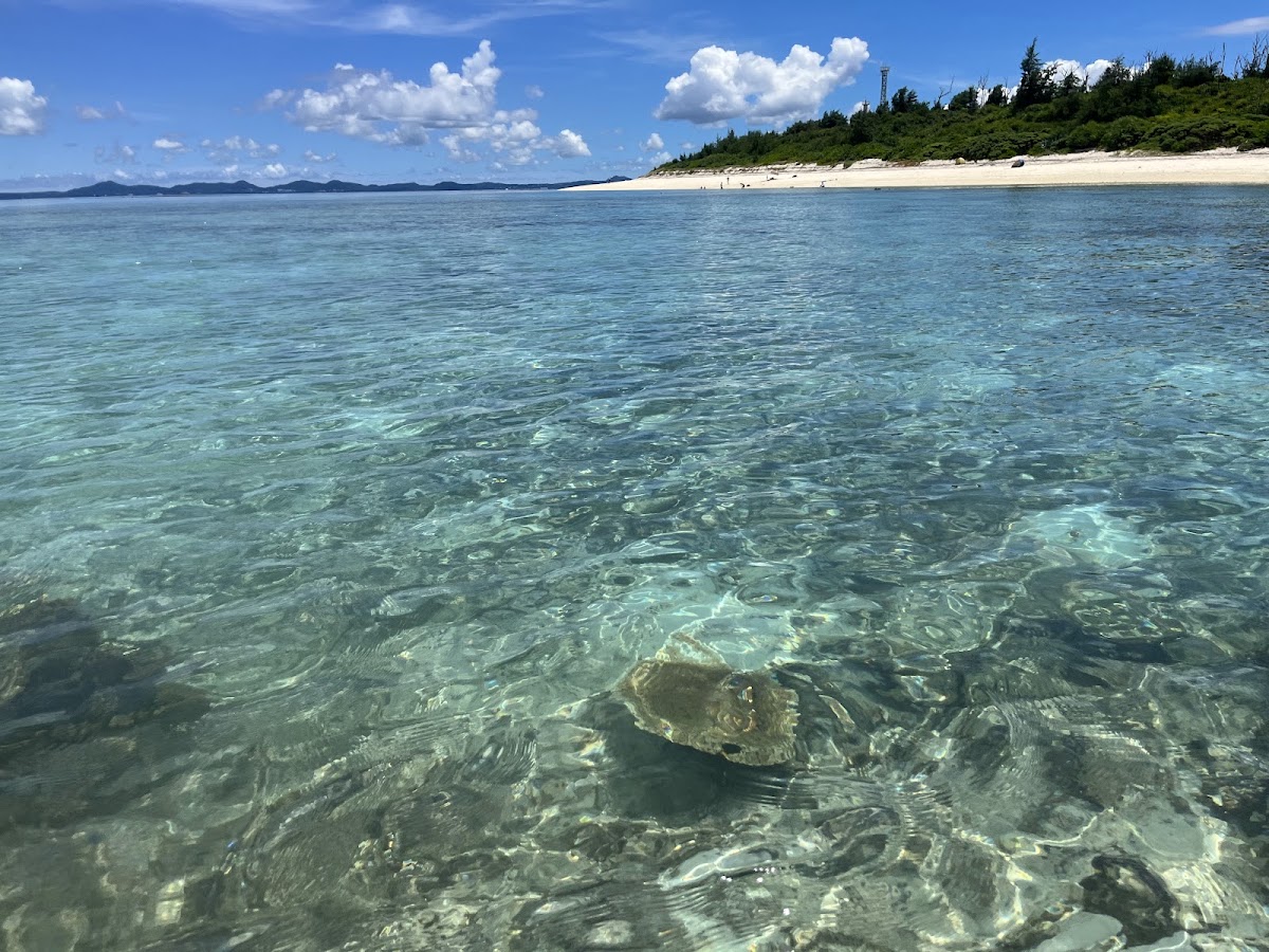 清澈透亮的海水與遠方小島