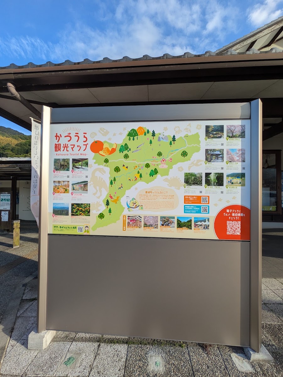 道之驛 雛之里勝浦(道の駅 ひなの里かつうら) 實景照片 9