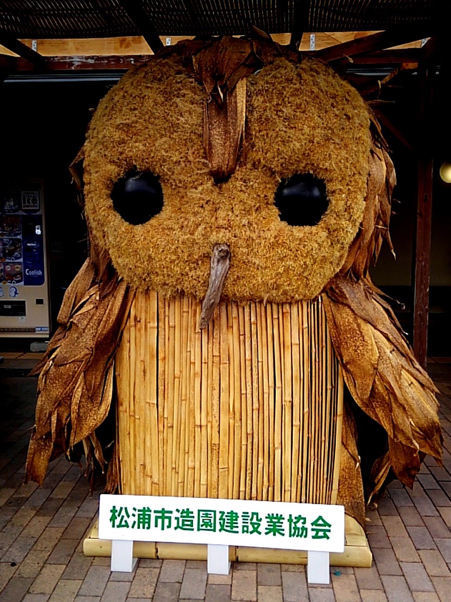 道之驛 松浦海之故鄉館(道の駅 松浦海のふるさと館) 實景照片 3