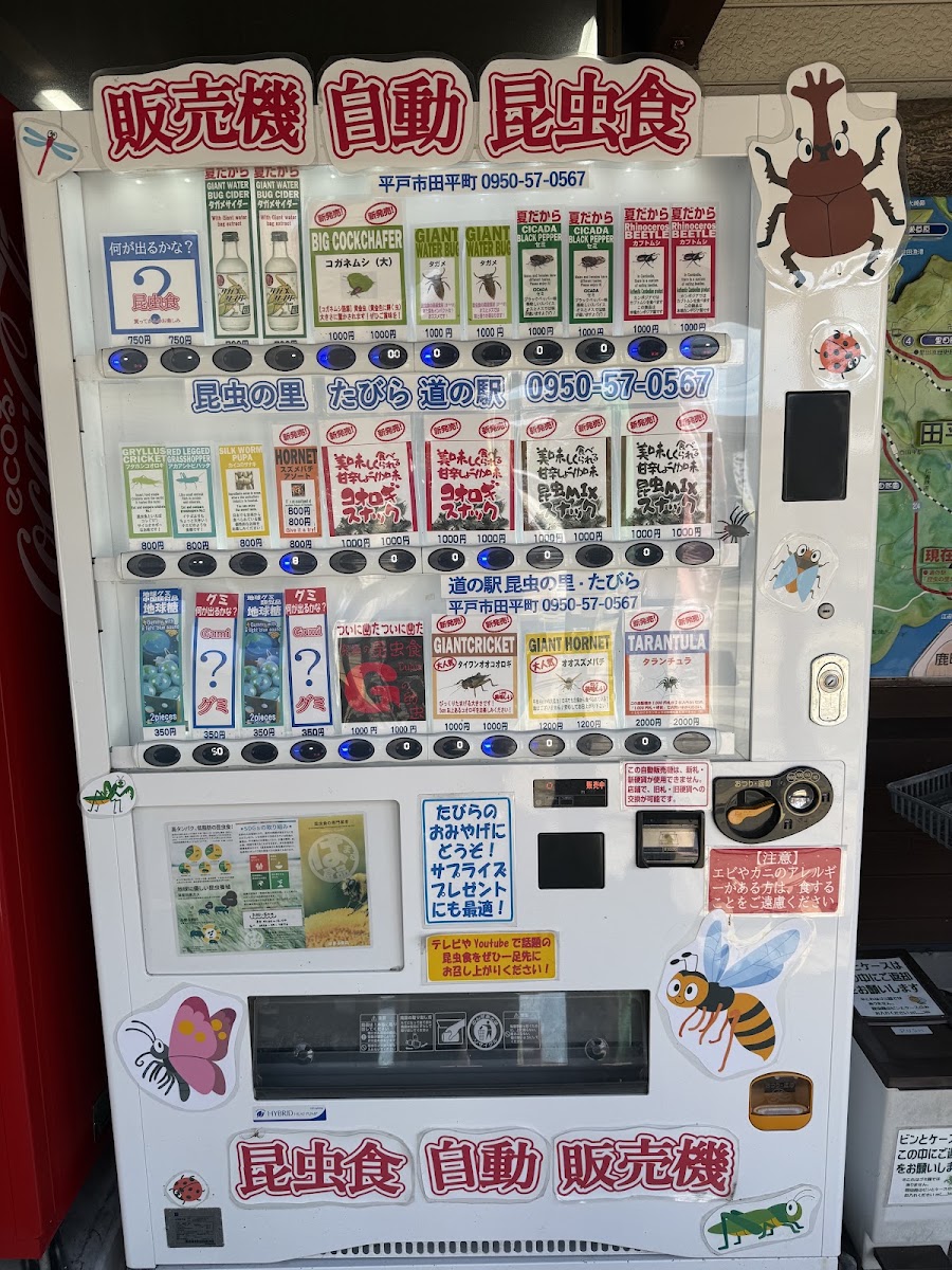 道之驛 昆蟲之里田平（道の駅 昆虫の里たびら） 實景照片 1