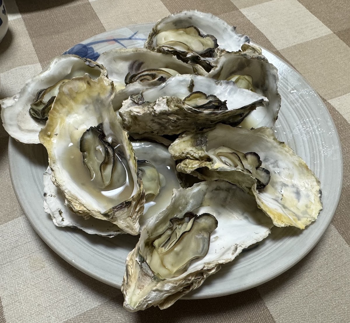 盤中烤好的開殼牡蠣