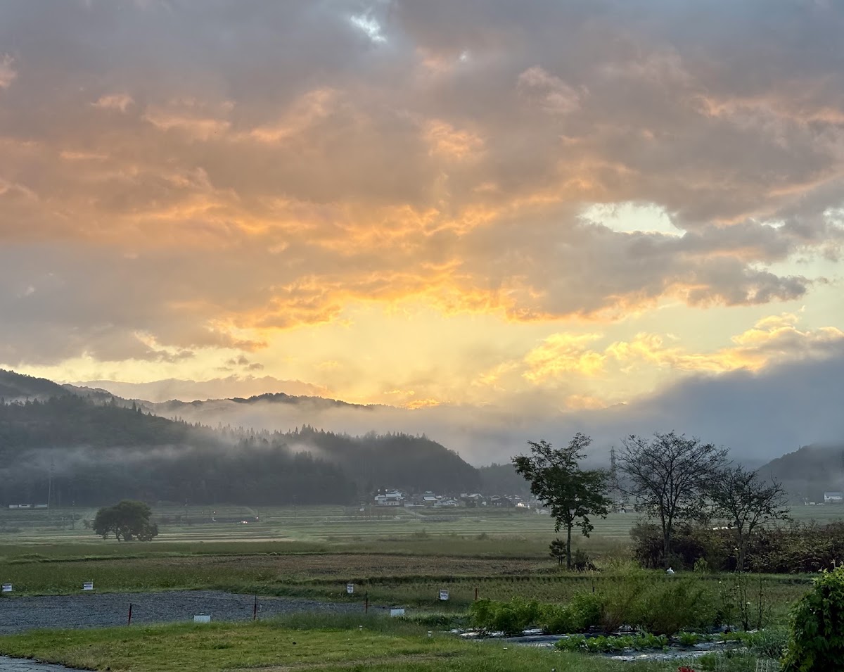 道之驛 白馬(道の駅 白馬) 實景照片 9