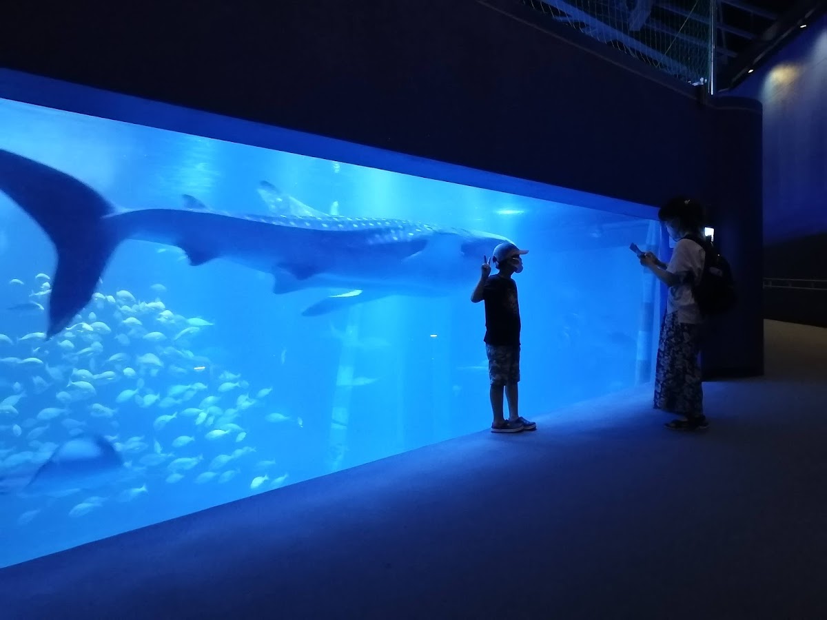 能登島水族館(のとじま水族館) 實景照片 6