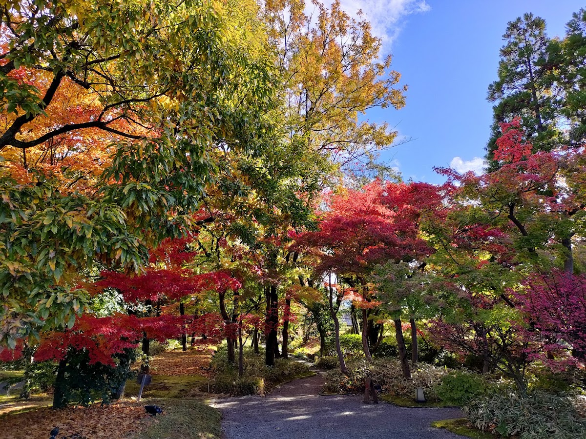 養浩館庭園 實景照片 5