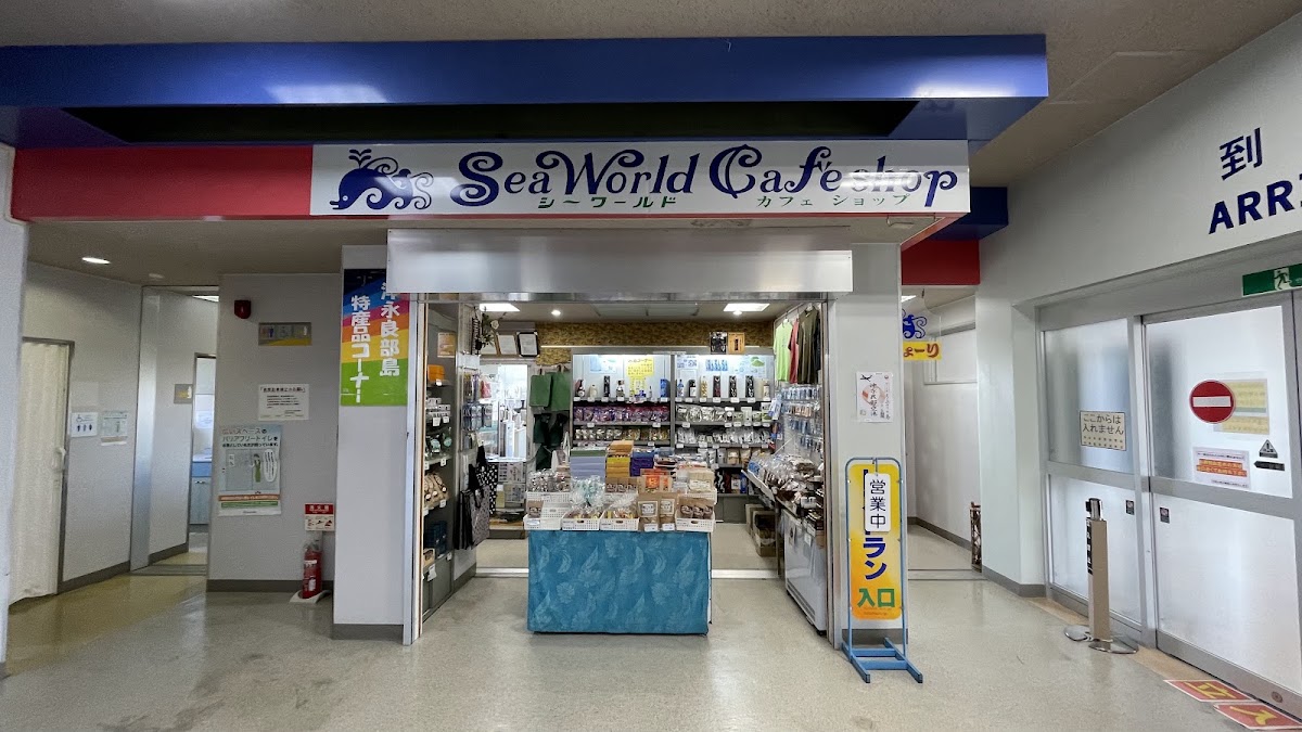 沖永良部機場 OKE（沖永良部空港） 實景照片 8