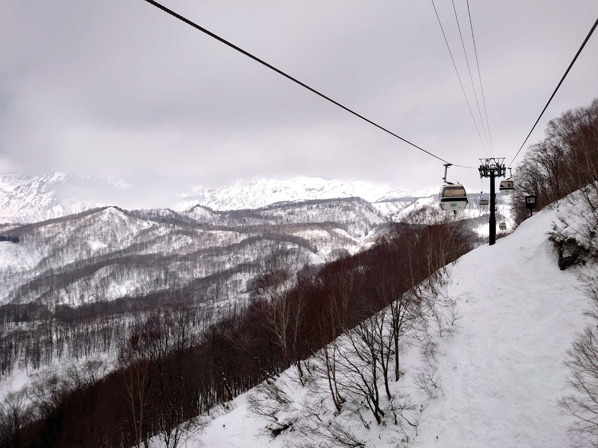栂池高原滑雪場（栂池高原スキー場） 實景照片 4