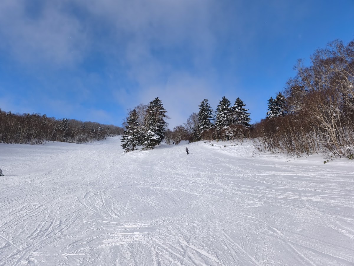 札幌手稻滑雪場(サッポロテイネ) 實景照片 9